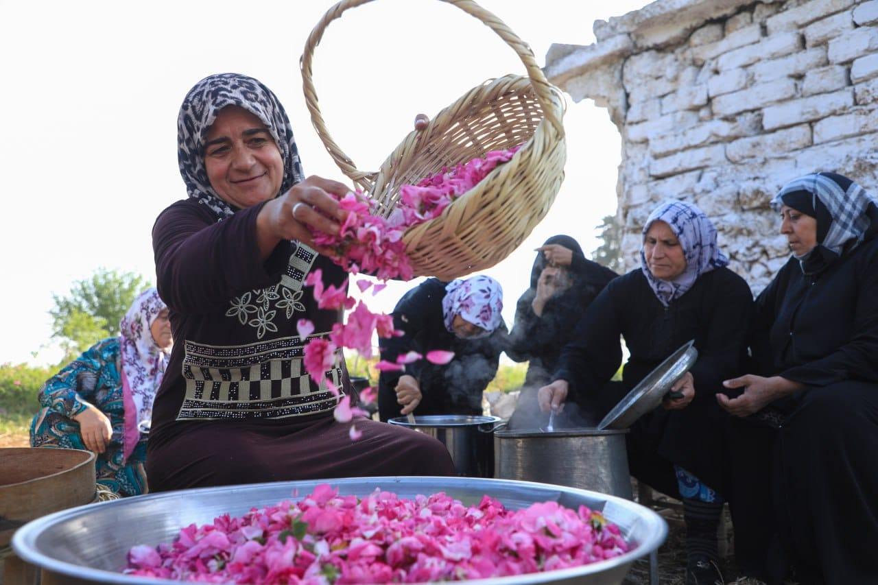 التعاونيات الإنتاجية